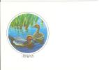 Russia 1992 Bird Birds Duck Ducks Fauna - Interi Postali