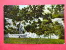 MO - Missouri > St Louis  -- Fountain Water Works  1911 Cancel    -- Ref 550 - St Louis – Missouri