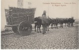 S. Miguel Azores Acores, Michaelenses Costume Fashion, Carro De Bois Wood Wagon, C1900s Vintage Postcard - Açores