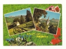 Cp, Italie, Monti, Multi-Vues, Voyagée 1986 - Olbia