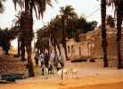 Une Rue De FAYA LARGEAU, Photographie Sailly, Chevres - Chad