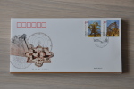 CHINA PEOPLE'S REPUBLIC FDC 2011 - 30 ANCIENT ASTRONOMIC INSTRUMENTS BLANK - Storia Postale