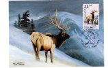 64530)cartolina Illustratoria F.d.c. Americana Utah , Elk. - Andere & Zonder Classificatie