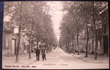 Cpa CHAMPIGNY 89 L´ Avenue - - Champigny