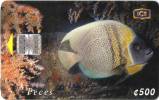 Lote TTE55, Costa Rica, Tarjeta Telefonica, Phone Card, Peces, Pez Angel, Fish, Used, Not Perfect Card - Costa Rica