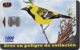 Lote TTE57, Costa Rica, Tarjeta Telefonica, Phone Card, Chorcha, Ave, Bird, Used, Not Perfect Card - Costa Rica