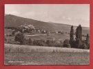 P1037 Vue Générale De Rances Et Le Chasseron, Champ De Blé Au Premier Plan.Circulé Sous Enveloppe En 1950 - Premier