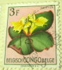Belgian Congo 1952 Flowers Costus 3f - Used - Oblitérés