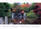 Tasmania - Japanese Garden, Botanical Gardens, Hobart, Unused - Tas. Postcards & Souvenirs - Hobart