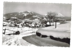 Chatel Saint Denis Teysachaux Vue Generale - Châtel-Saint-Denis