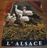 L'Alsace - Henri Malerne - 1971. - Alsace