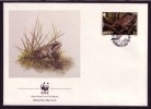 AGILE FROG RANA GRENOUILLE FROSCH - JERSEY 1989 - WWF - FDC - Frösche