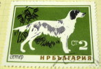 Bulgaria 1964 Setter 2s - Used - Usados