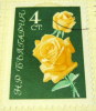 Bulgaria 1962 Roses 4s - Used - Usados