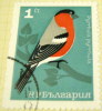 Bulgaria 1965 Bullfinch 1s - Used - Usados