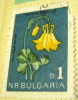 Bulgaria 1963 Native Flowers Aquilegia Aurea 1s - Used - Usados