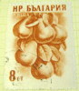 Bulgaria 1956 Fruits Pears 8s - Used - Gebruikt