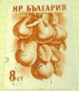 Bulgaria 1956 Fruits Pears 8s - Used - Usados