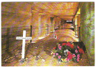 Environs De VERDUN, Meuse: Tranchée Des Baïonnettes; Cimetière Guerre 1914-1918; Tombe Du Soldat Inconnu, TB - Cementerios De Los Caídos De Guerra
