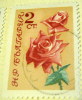 Bulgaria 1962 Roses 2s - Used - Usados