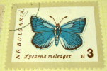 Bulgaria 1962 Butterflies Lycaena Meleager 3s - Used - Usados