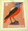 Bulgaria 1965 Rock Thrush 3s - Used - Usados