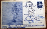 ROMANIA 1960 CARTE POSTALE ARTISTIQUE - Postmark Collection