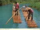 (345) Jamaica -  Rafting Down Martha Brae River - Jamaica
