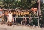 (345) Jamaica - Little Fruit Vendor - Jamaica