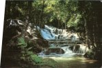 (345) Jamaica - Ocho Rios Upper Waterfall - Jamaica