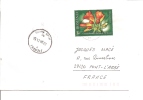 Lettre   Roumanie 2010   (569) - Storia Postale