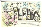 CHATEAUNEUF DU FAOU - Carte Souvenir - Acceptez Ces Jolies Fleurs - Châteauneuf-du-Faou