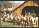 MARIASTEIN SO Pony Trekking Stempel ! 1978 - Metzerlen-Mariastein