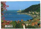 GRAN BRETAGNA (UNITED KINGDOM)  -  WALES: MUMBLES     -  NUOVA  RIF. 530 - Altri & Non Classificati