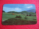 New Zealand , Waikato - Sheep Country Near Hamilton And Cambridge - Nieuw-Zeeland