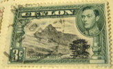 Ceylon 1938 Adams Peak King George VI 3c - Used - Ceylon (...-1947)
