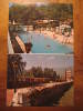 USA Maple Lodge Colorado Springs Motel Hotel Swimming Pool Natation Natacion Swimming-pool Piscina Schwimmen Post Card - Schwimmen