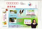 Tianhuangping Mineral Water Waterfall,mailcar,China 2005 Haining Communication Company Advertising Pre-stamped Card - Other & Unclassified