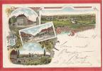 67 - GRUSS AUS SAARUNION - SARRE UNION - Litho Multivues - Sarre-Union