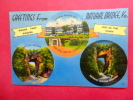 Greetings From Natural Bridge Va-- Linen 1952 Cancel= Ref 556 - Other & Unclassified