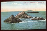 Cpa  Etats Unis , Californie , Seal Rocks At Cliff House  San Francisco  LOK20 - San Francisco