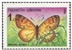 Uzbekistan 1992 MNH Stamp. Butterfly Mi 2 - Usbekistan