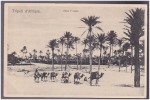 Libya   TRIPOLI   Old Postcard - Libye