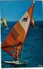 Thème - Sport - Planche à Voile - Sailing
