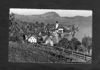 Beckenried Mit Blick Gegen Bürgenstock - Beckenried