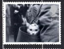 Great Britain 2001 1st Cat In Handbag Issue #1956 - Unclassified