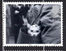 Great Britain 2001 1st Cat In Handbag Issue #1956 - Sin Clasificación