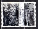 Great Britain 2001 1st Cat In Window Issue #1959 - Non Classés