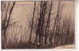 89 Charny Yonne - Le Patis - Cyclone Du 13 Février 1900 - En Pein Hiver Animé Carriole Hommes Arbres Couchés - RARE - Charny