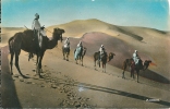 Ouargla - Patrouille En Observation - Ouargla